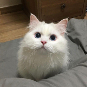 小黄片软件自慰器
