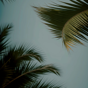 小黄片软件自慰器
